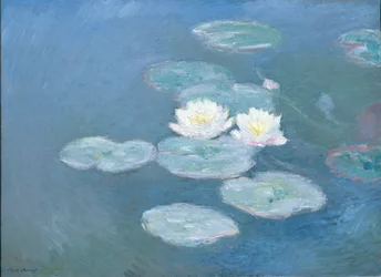 Waterlilies, Evening
